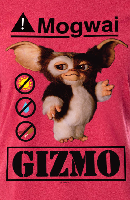 Gremlins Womens' Mogwai Rules Logo Movie Film Sleep Pajama Set Crewneck