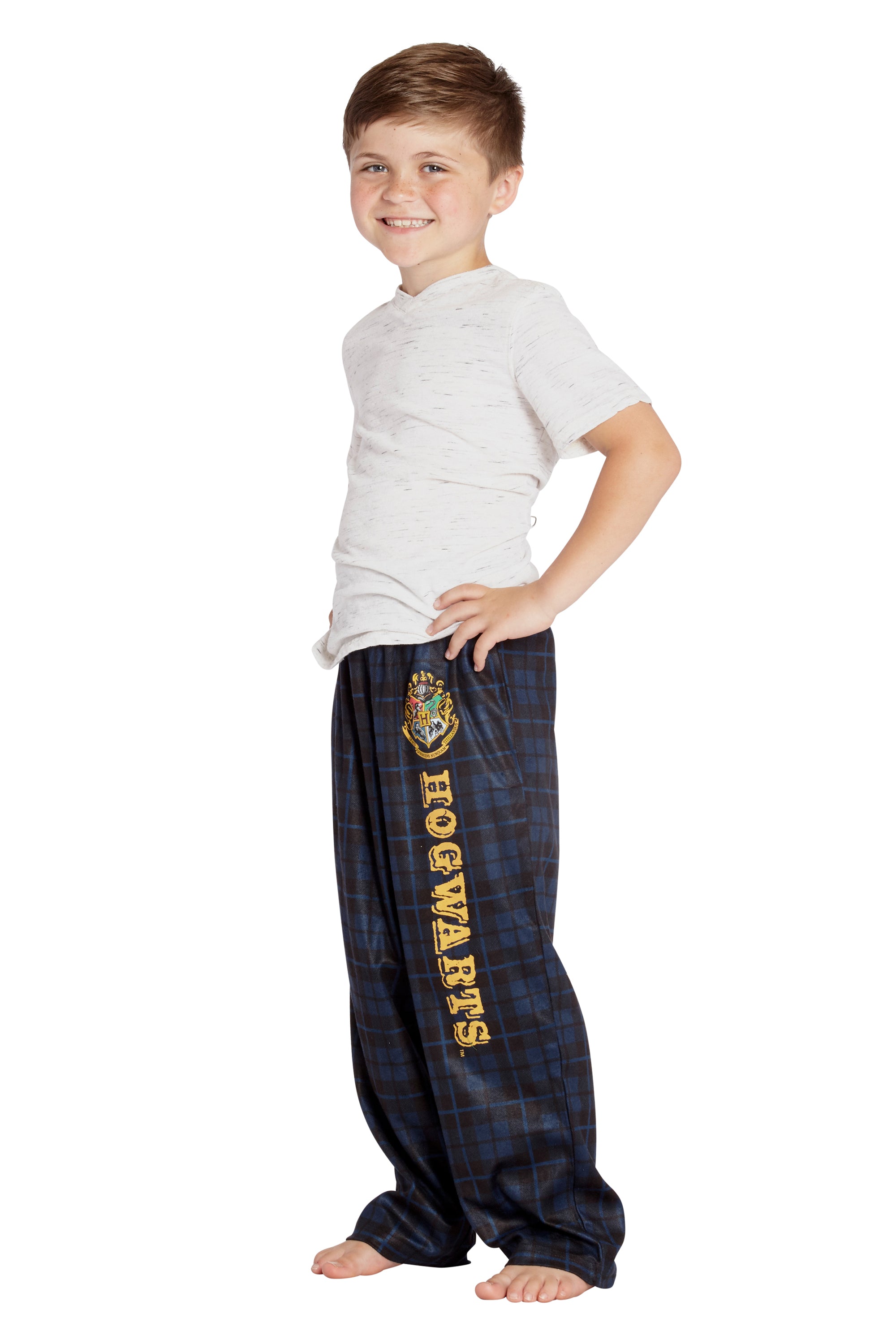 Intimo Harry Potter Boys Houses Plaid Pajama Lounge Pants