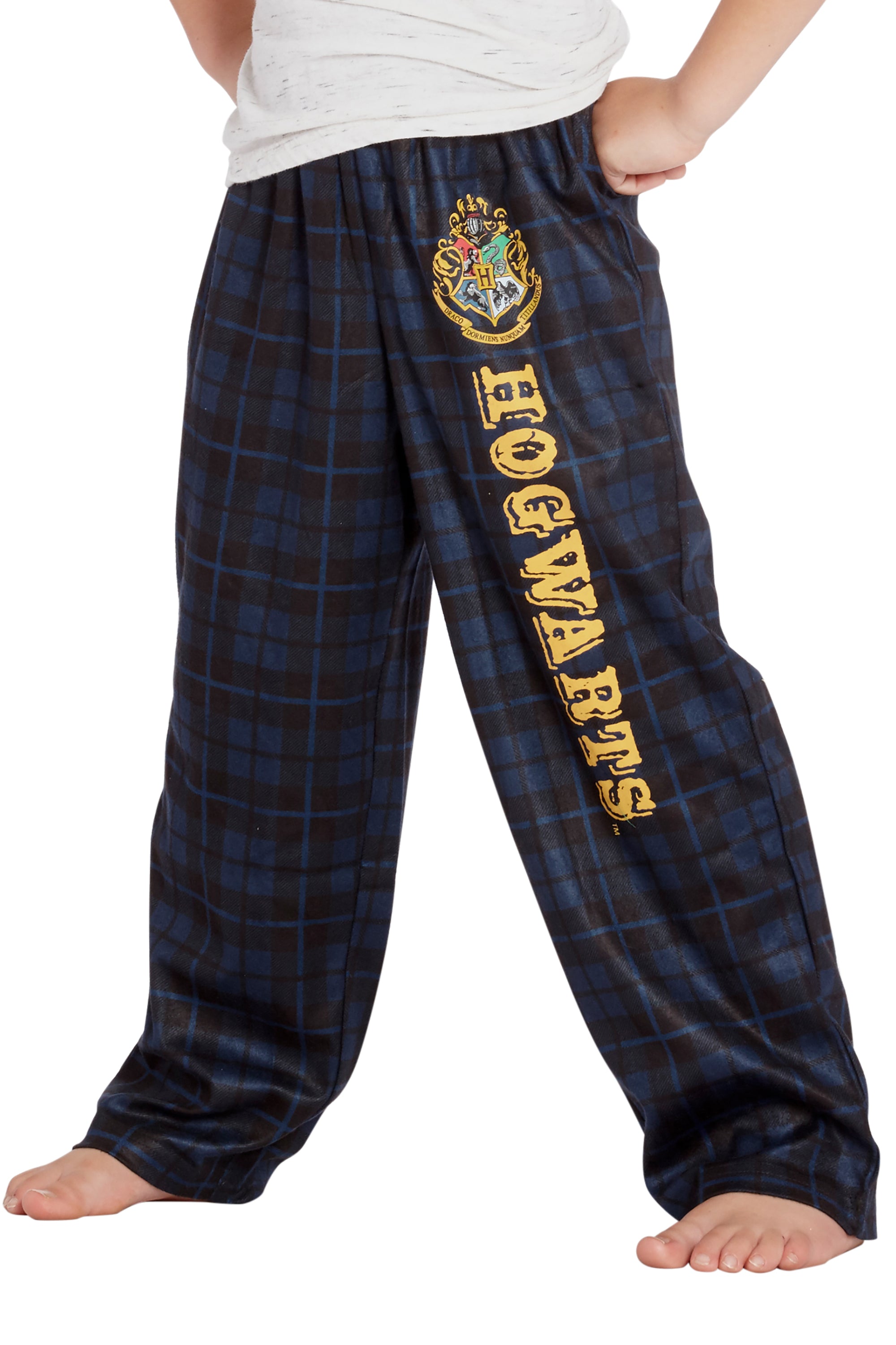 Intimo Harry Potter Boys Houses Plaid Pajama Lounge Pants