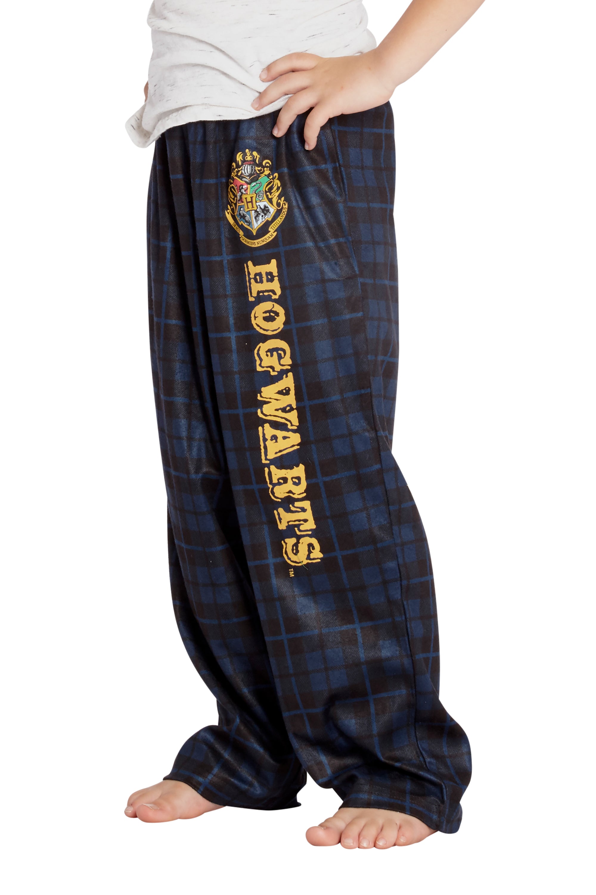 Intimo Harry Potter Boys Houses Plaid Pajama Lounge Pants