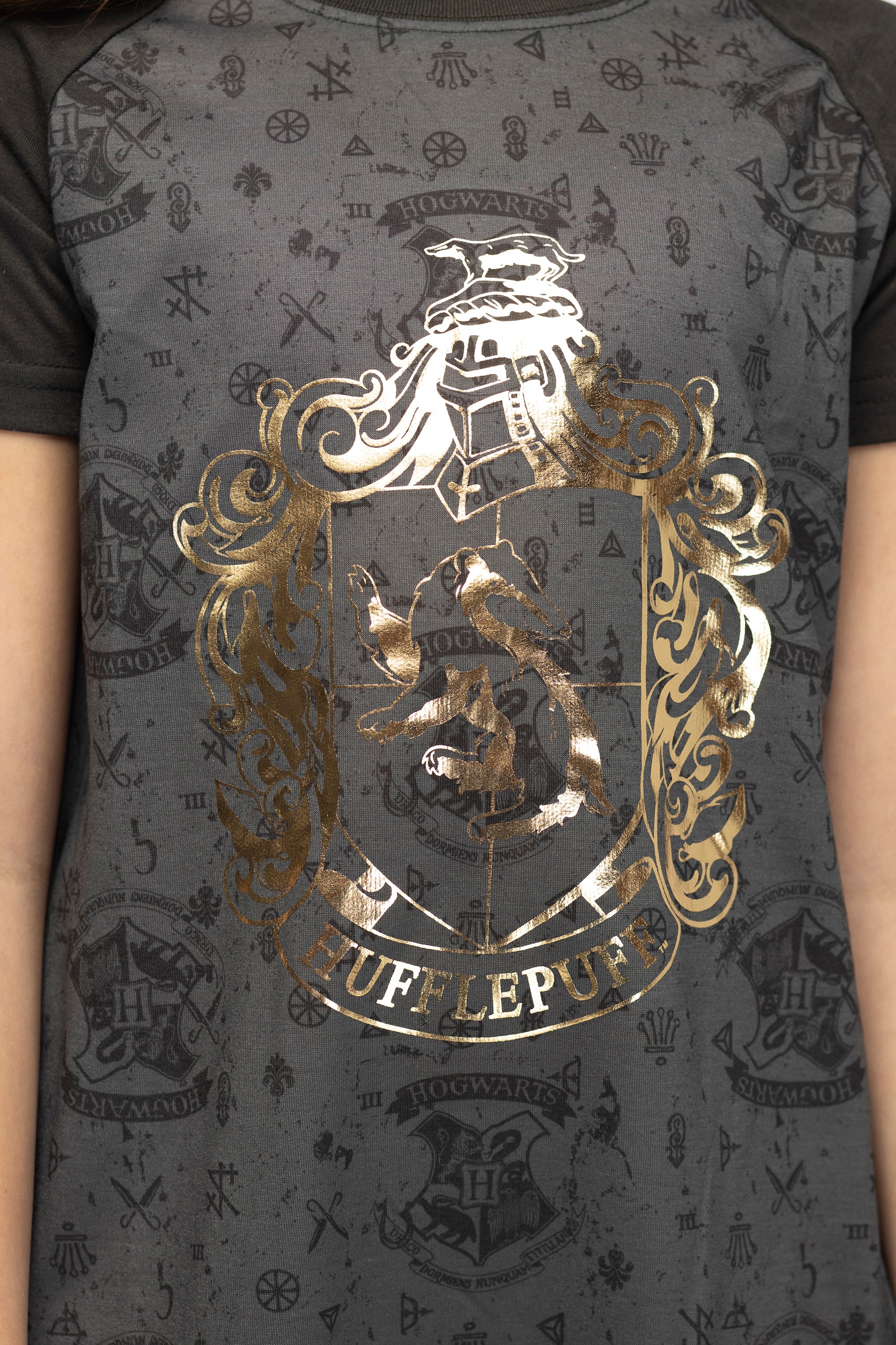 Harry Potter Women's Foil Print Hogwarts House Raglan Nightgown
