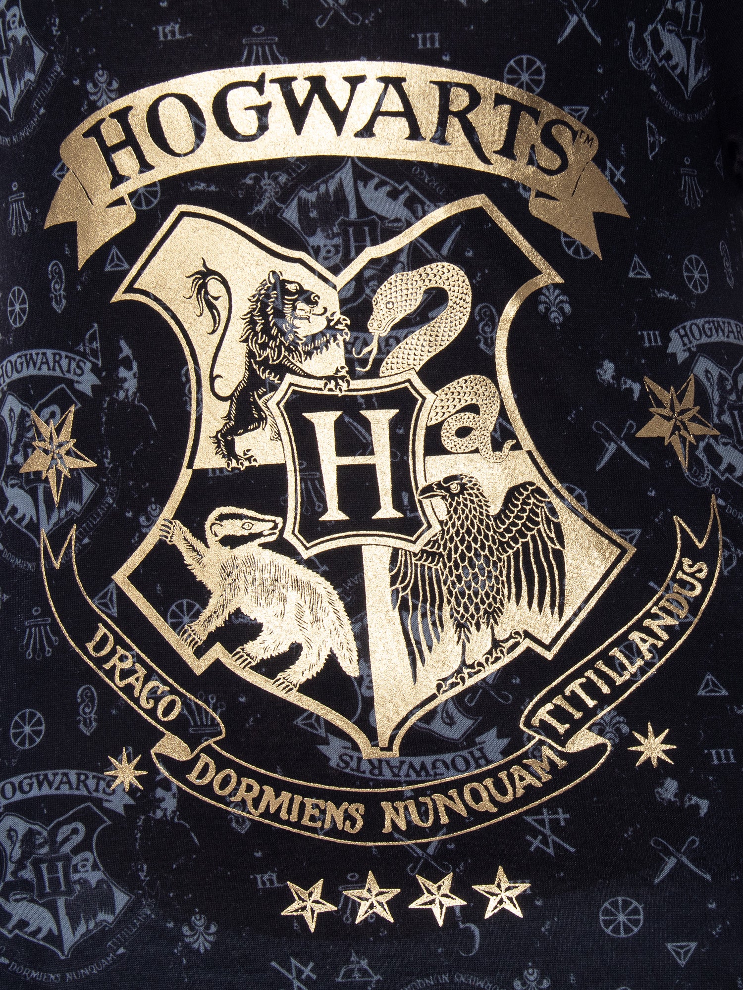 Harry Potter Girls' Hogwarts Castle Gold Foil Nightgown Pajama Sleep Top