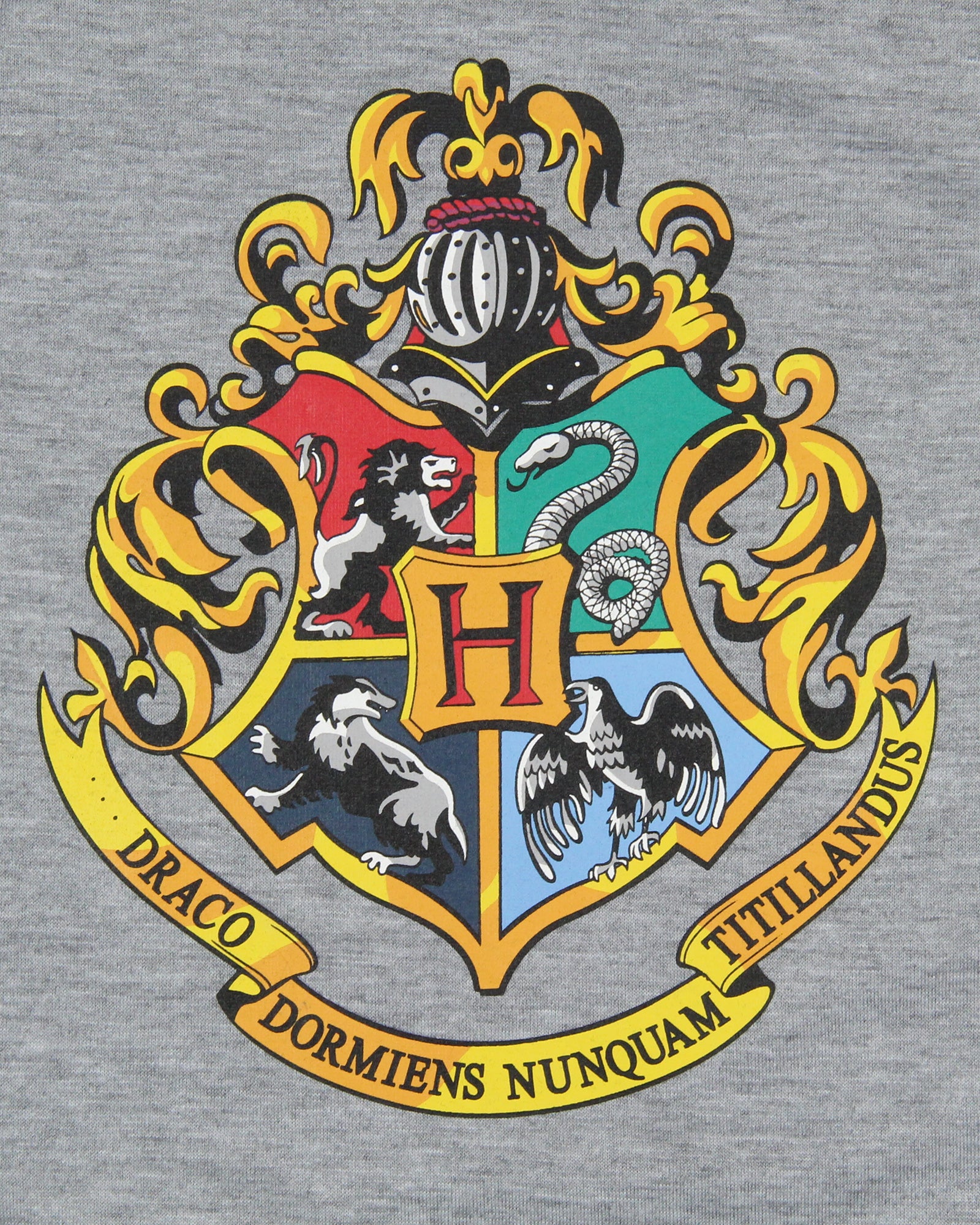 Harry Potter Girls' Wizarding World Hogwarts Crest Sleep Pajama Nightgown