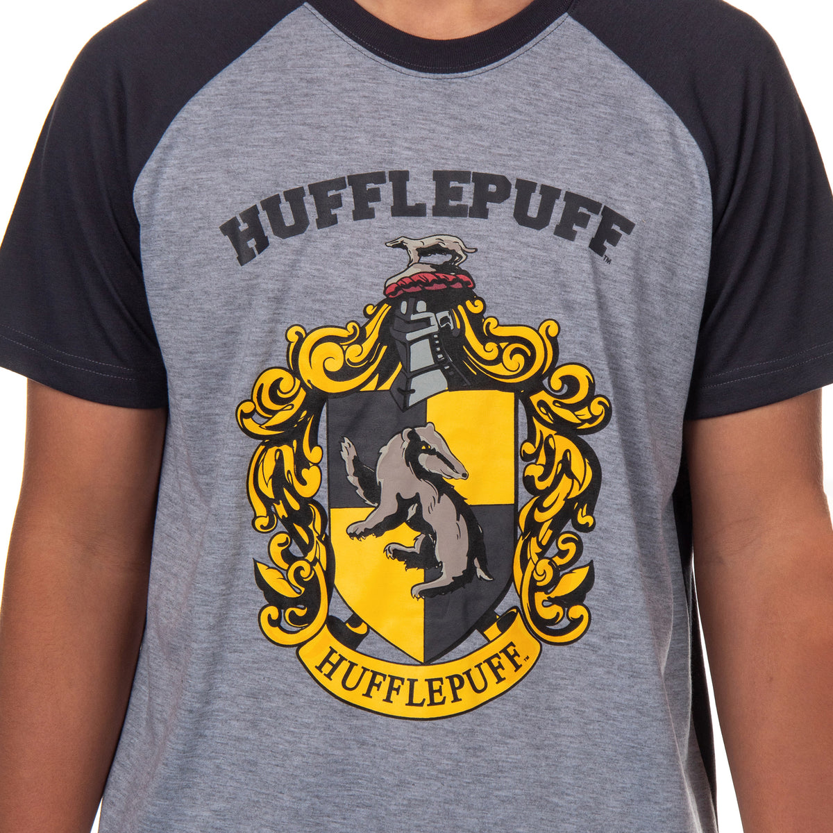 Harry Potter Hogwarts Men's Short Sleeve Shirt And Short PJ Pajama Set