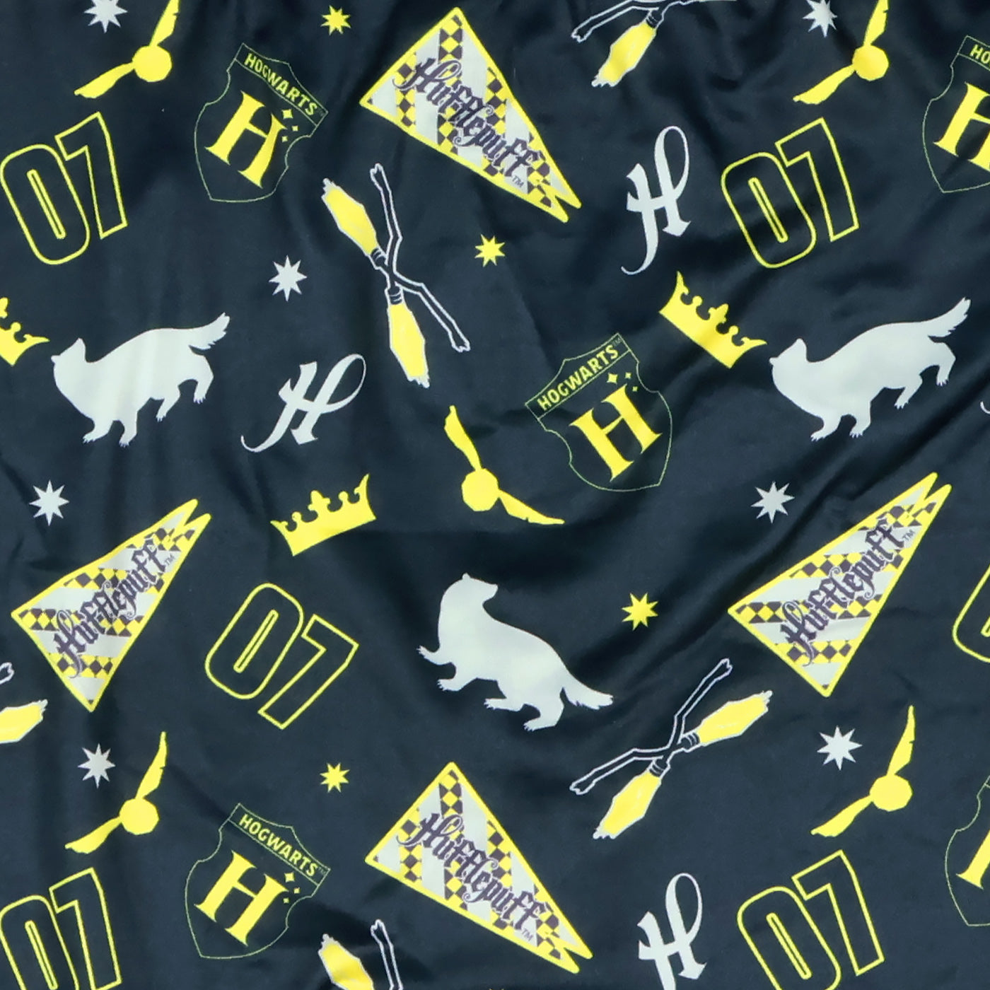Harry Potter Boxers Briefs Men's Hogwarts Houses Underwear