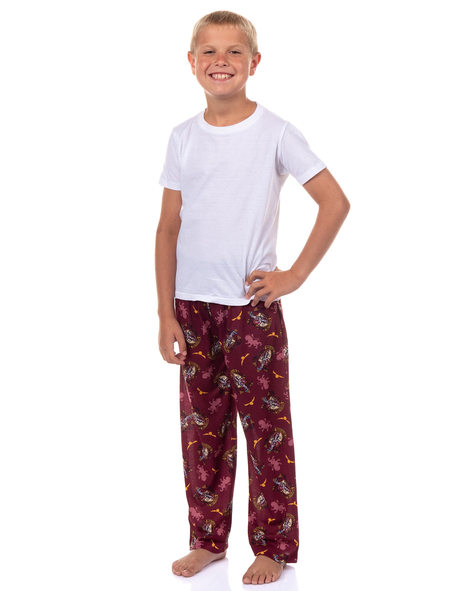 Harry Potter Pajamas Boy's House Crest Icons Lounge Pj Pants