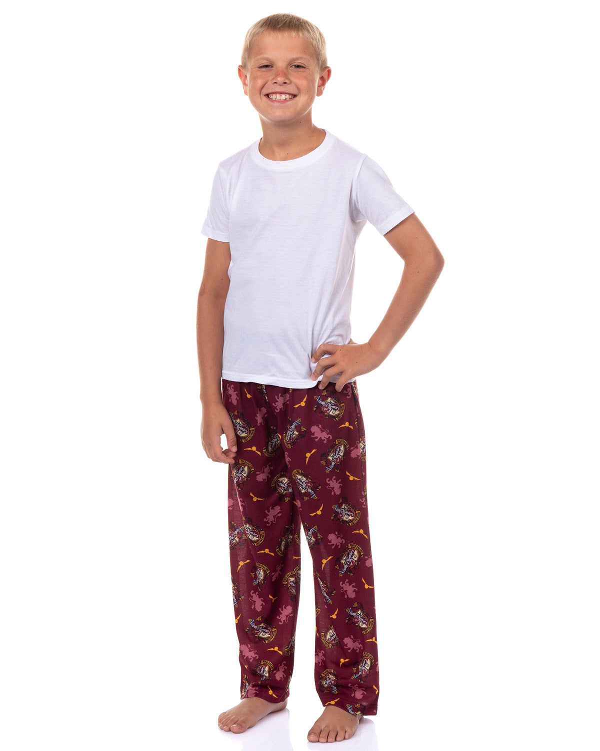 Harry Potter Pajamas Boy's House Crest Icons Lounge Pj Pants