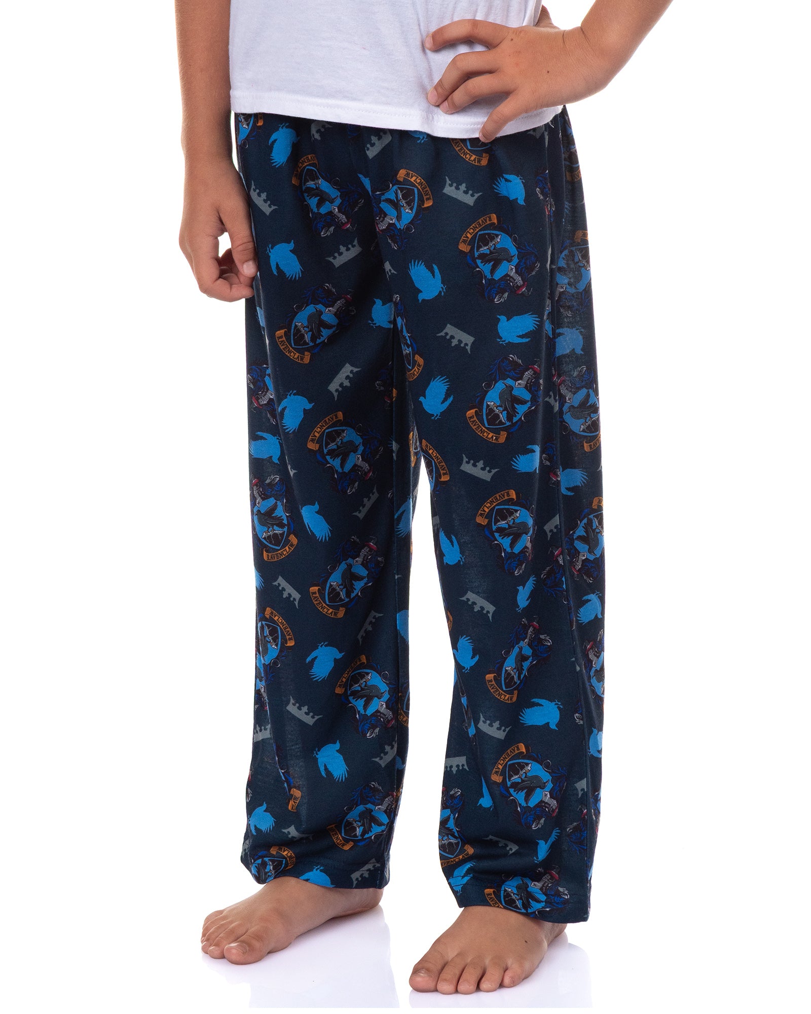 Harry Potter Pajamas Boy's House Crest Icons Lounge Pj Pants
