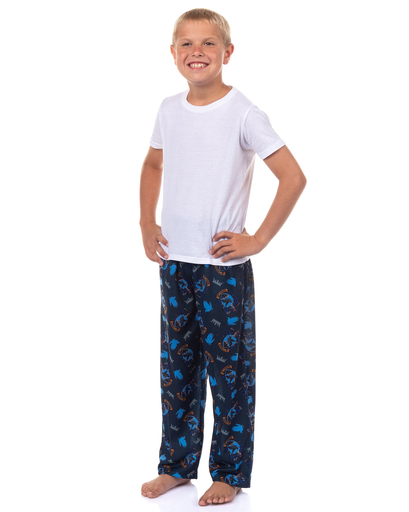 Harry Potter Pajamas Boy's House Crest Icons Lounge Pj Pants