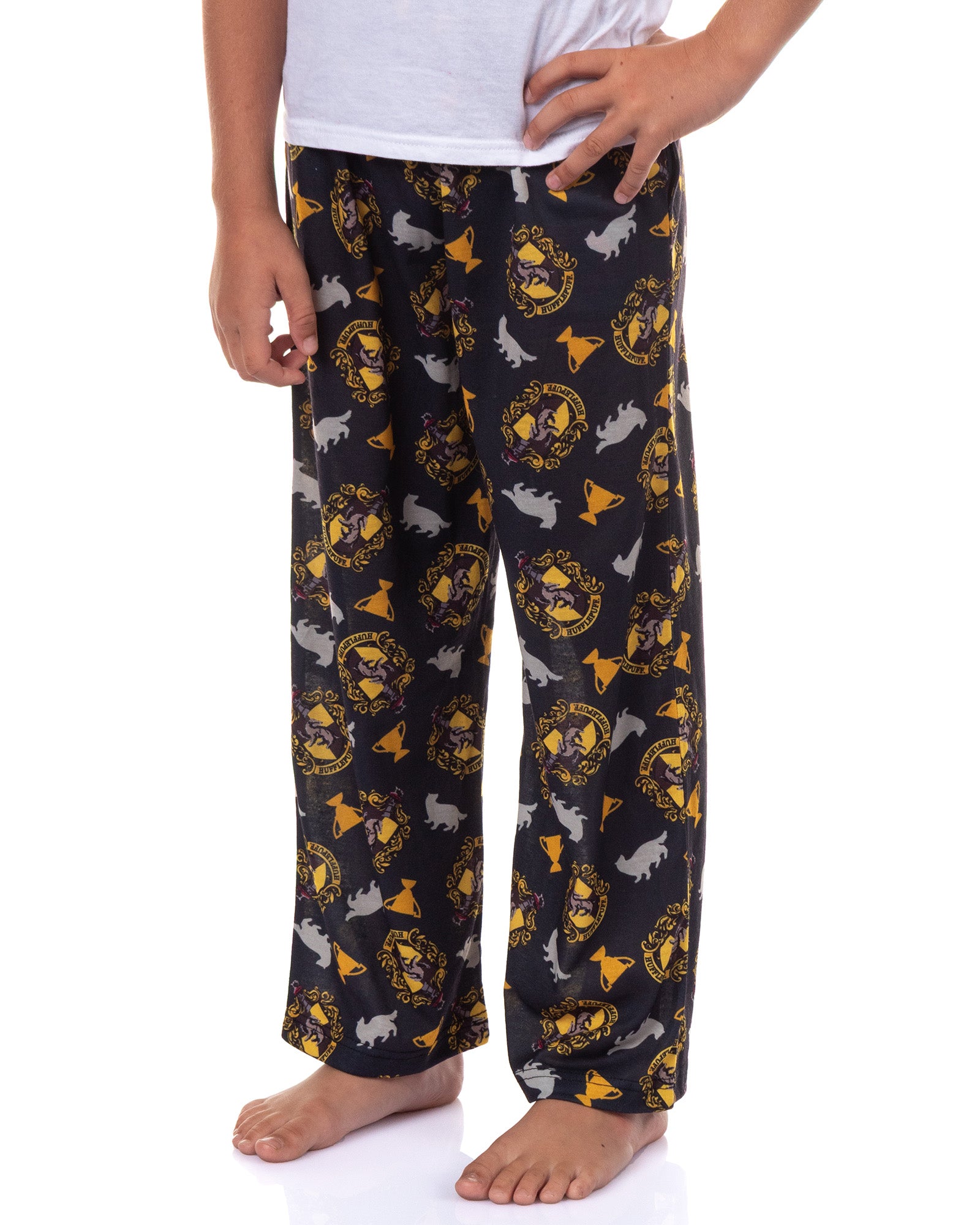 Harry Potter Pajamas Boy's House Crest Icons Lounge Pj Pants