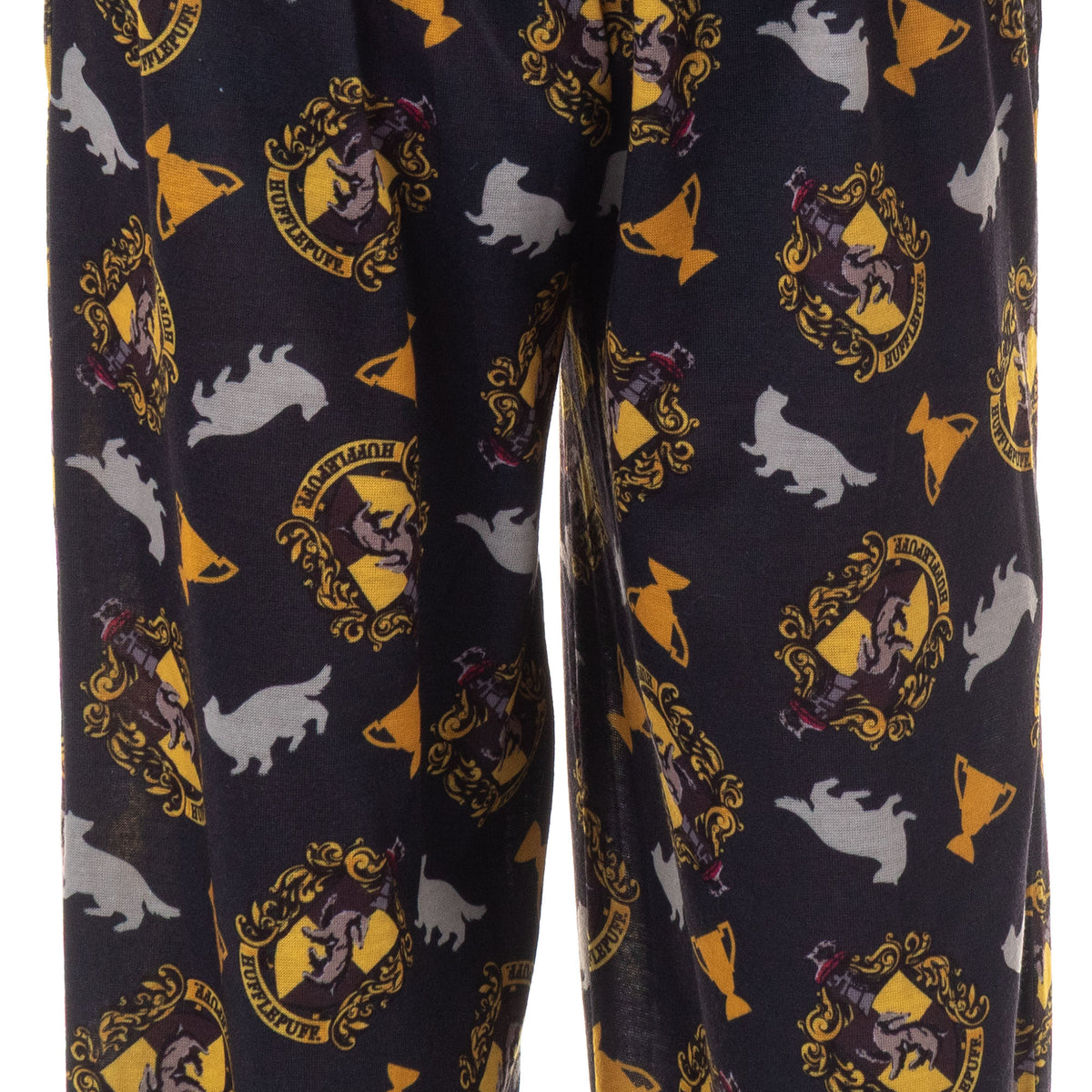 Harry Potter Pajamas Boy's House Crest Icons Lounge Pj Pants