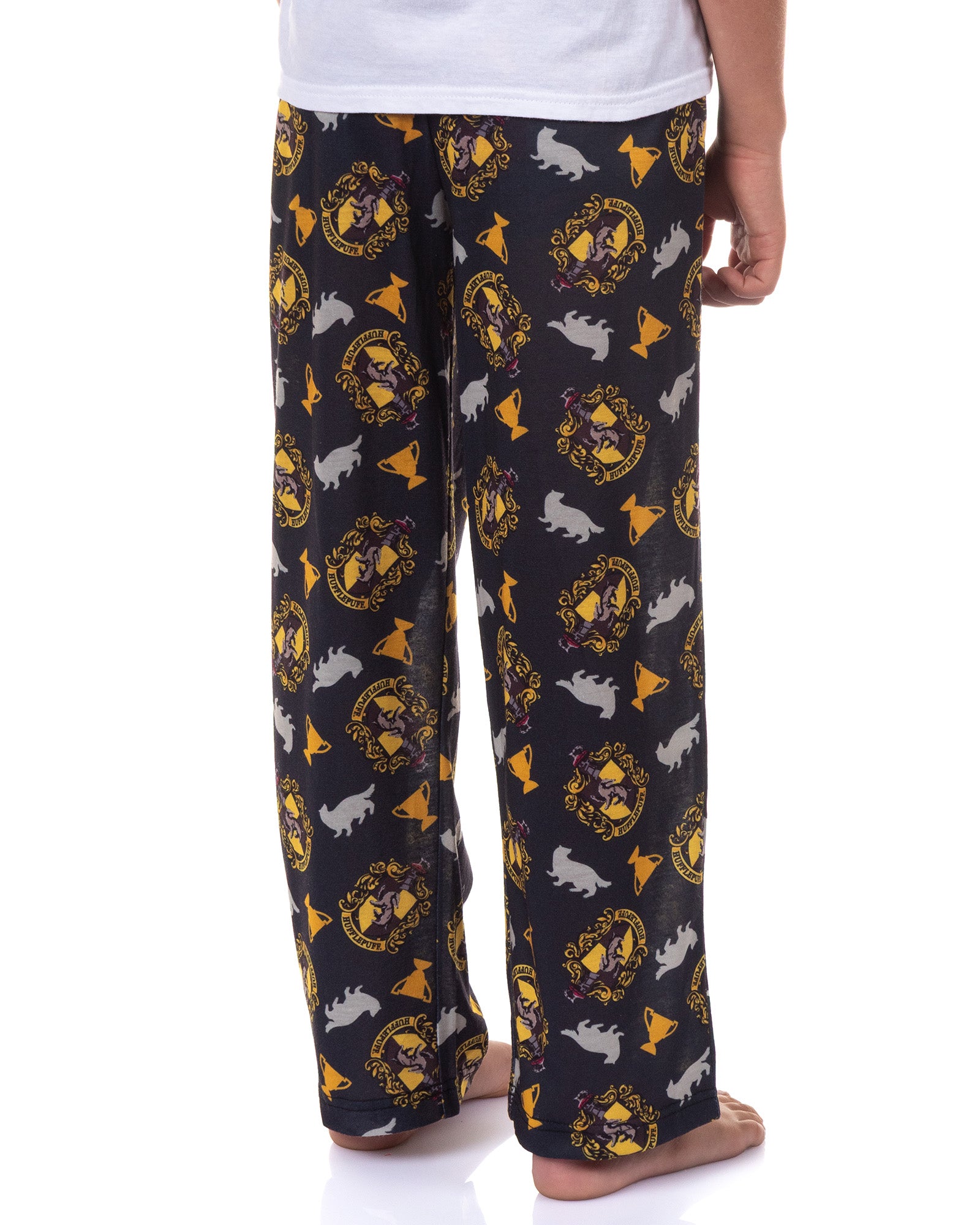 Harry Potter Pajamas Boy's House Crest Icons Lounge Pj Pants