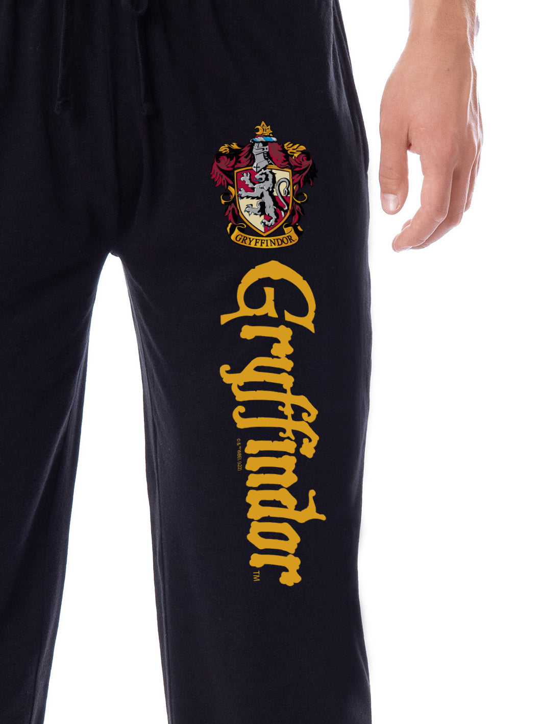 Harry Potter Mens' Hogwarts All Houses Sleep Jogger Pajama Pants