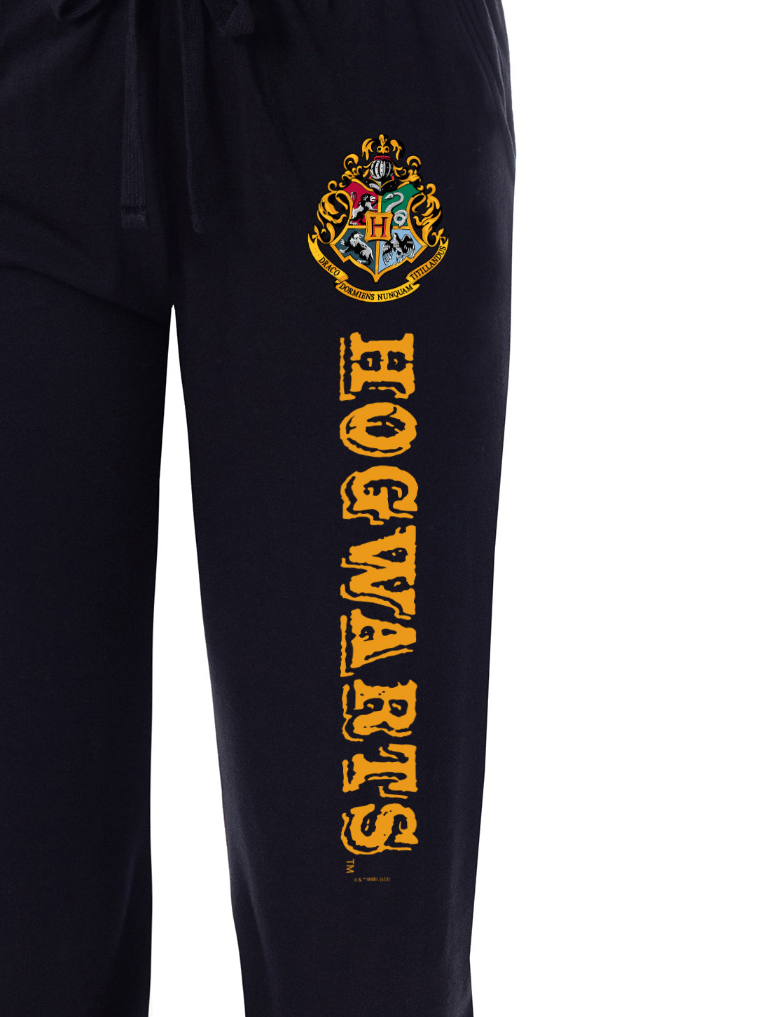 Harry Potter Men's House Crest Pajama Pants - Gryffindor, Slytherin, Ravenclaw, Hufflepuff, Hogwarts