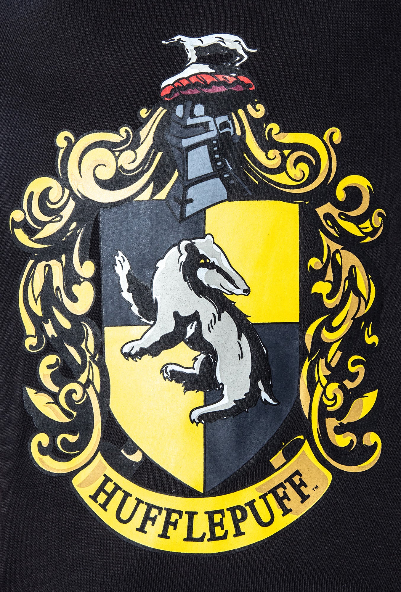 Harry Potter Girls' Hogwarts Castle Shirt and Shorts Pajama Set - All 4 Houses