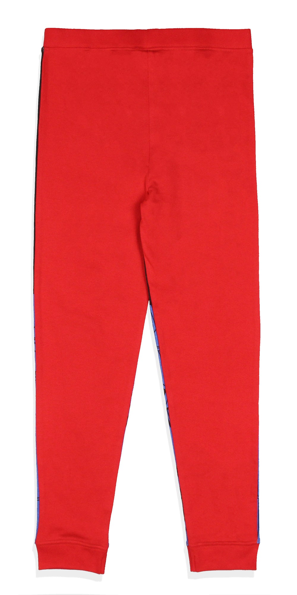 Boy's Sleepwear Classic Cartoon Character Tight Fit Long Sleeve Sleep Pajama Set