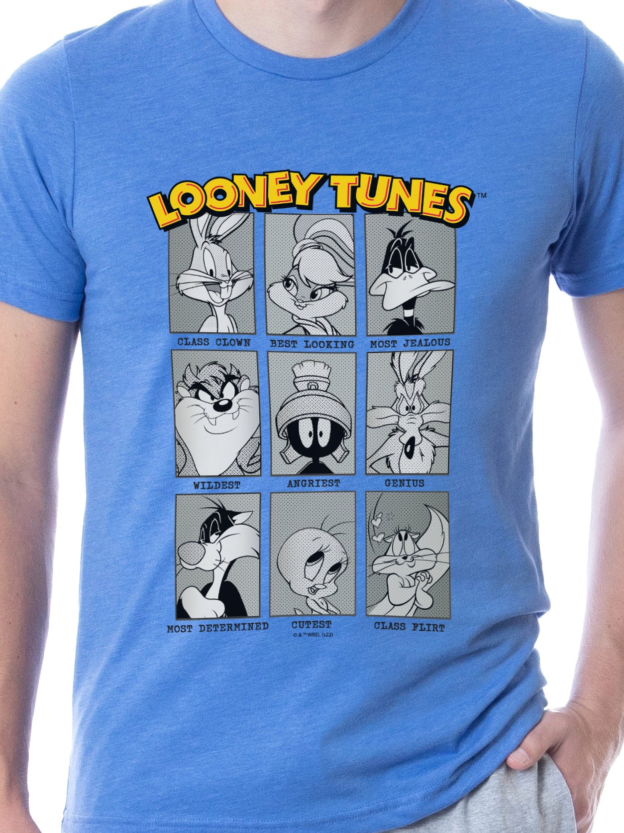 Looney Tunes Mens' Yearbook Superlative Characters Sleep Pajama Set