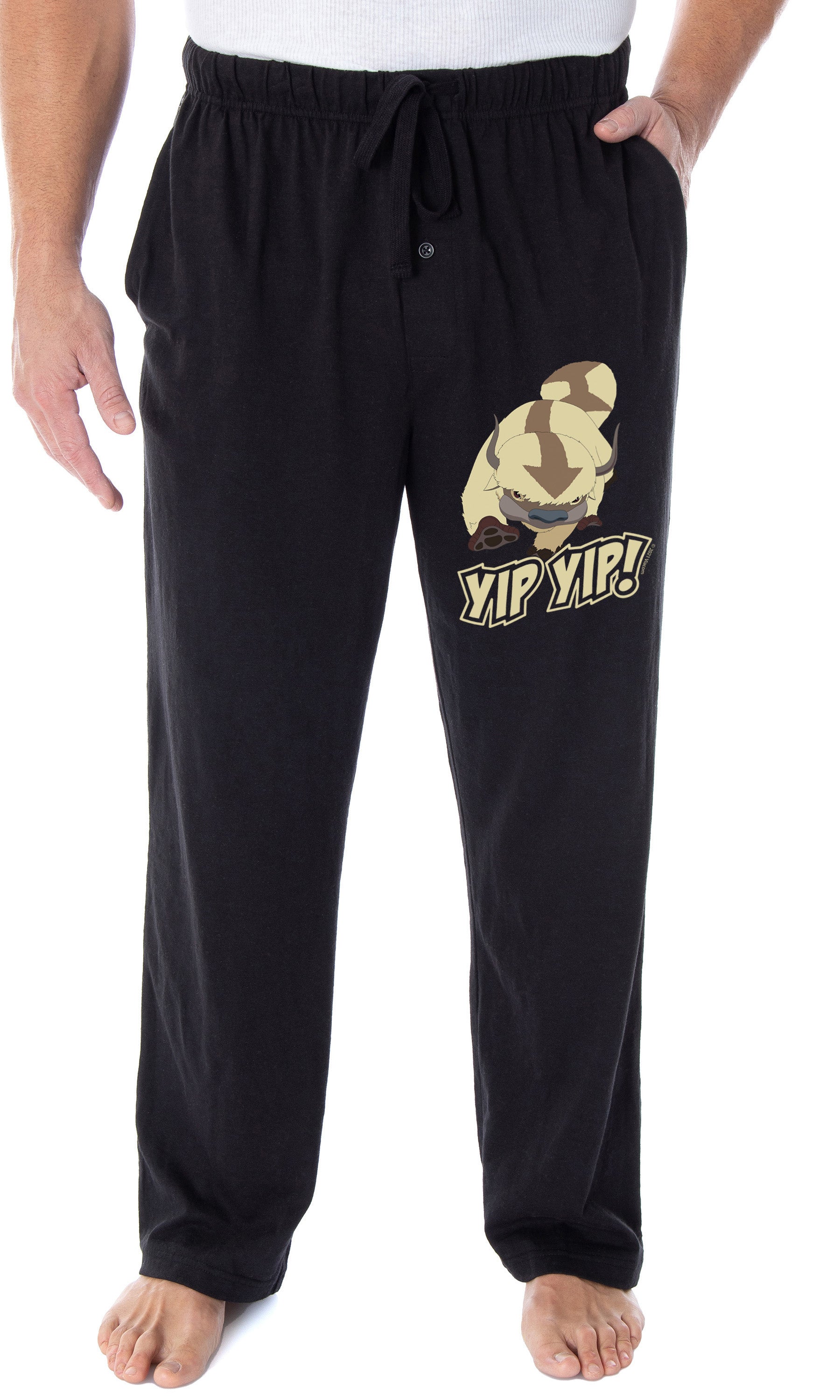 Avatar The Last Airbender Men's Flying Bison Appa Yip Yip! Pajama Pants