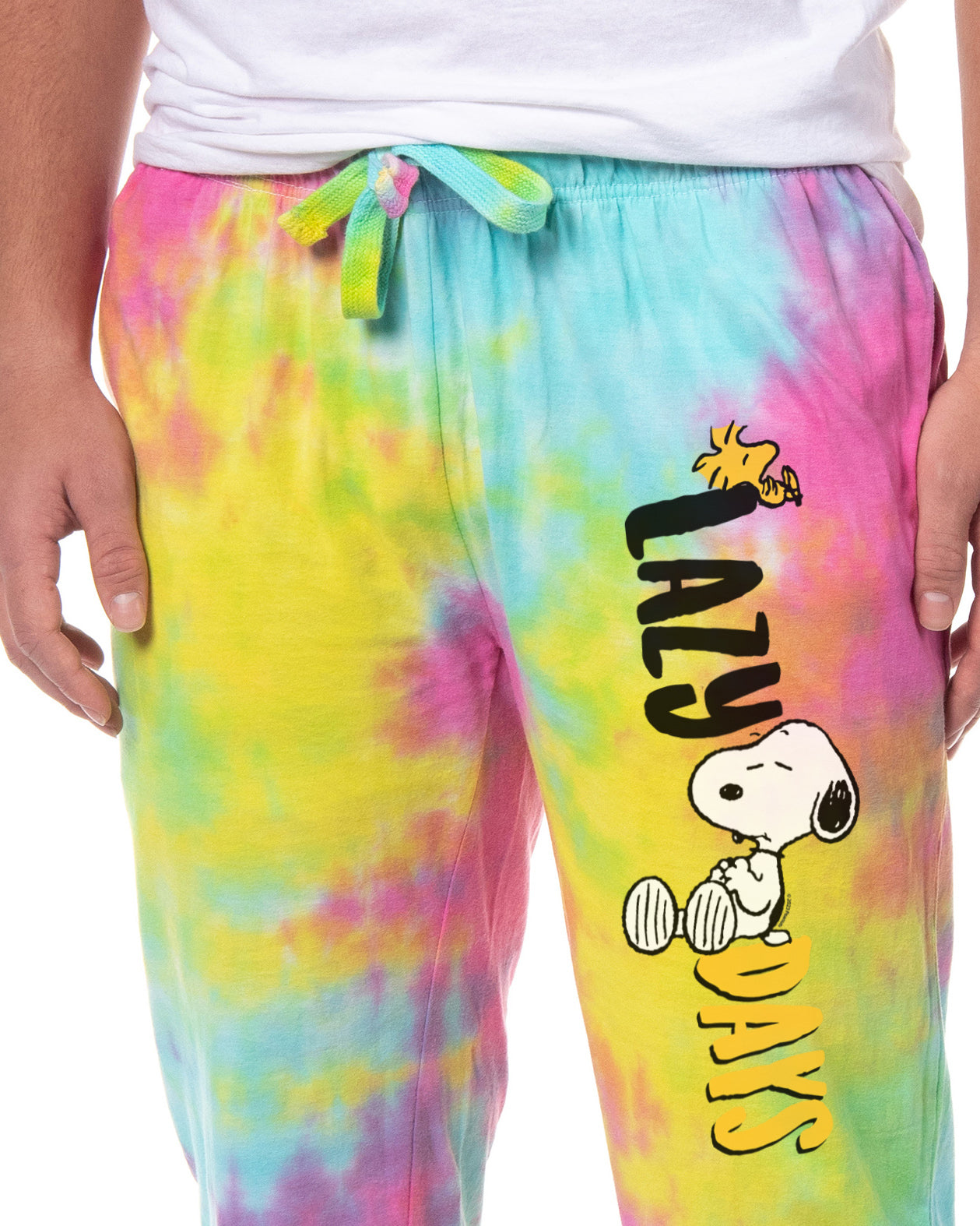 Peanuts Men's Snoopy Woodstock Lazy Days Sleep Jogger Pajama Pants