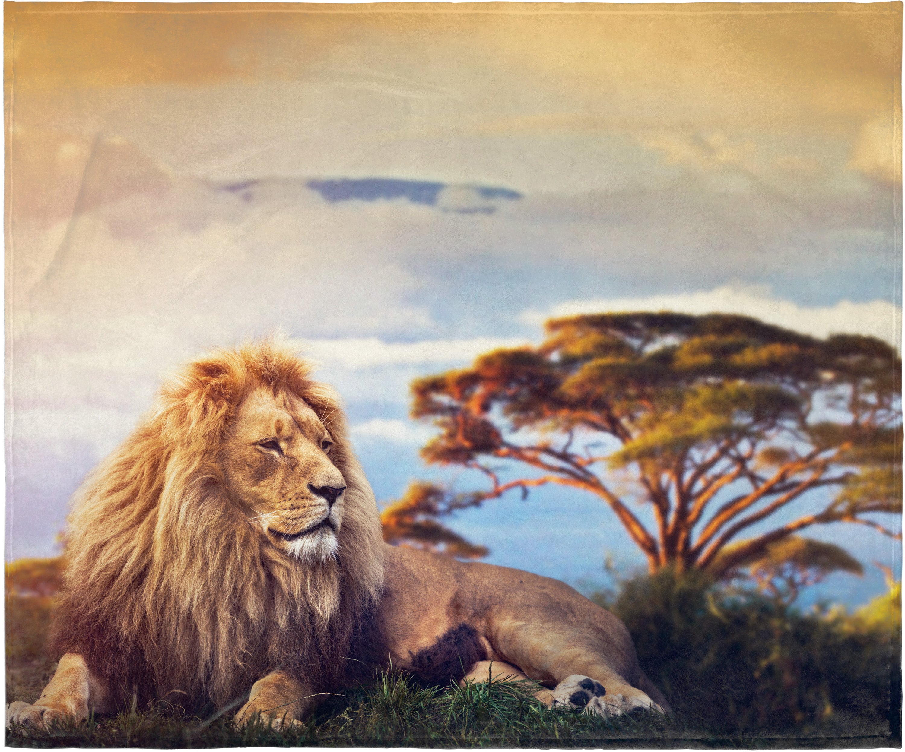 Lion King Of The Jungle Blanket Super Soft Silk Touch Plush Fleece Throw 50" X 60"