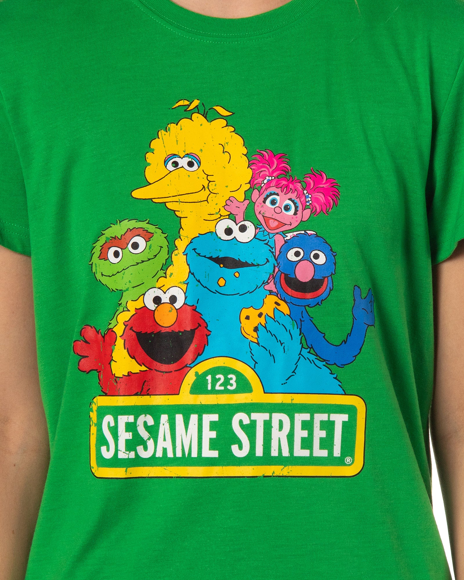 Sesame Street Women's Elmo And Friends Cookie Monster Sleep Pajama Set