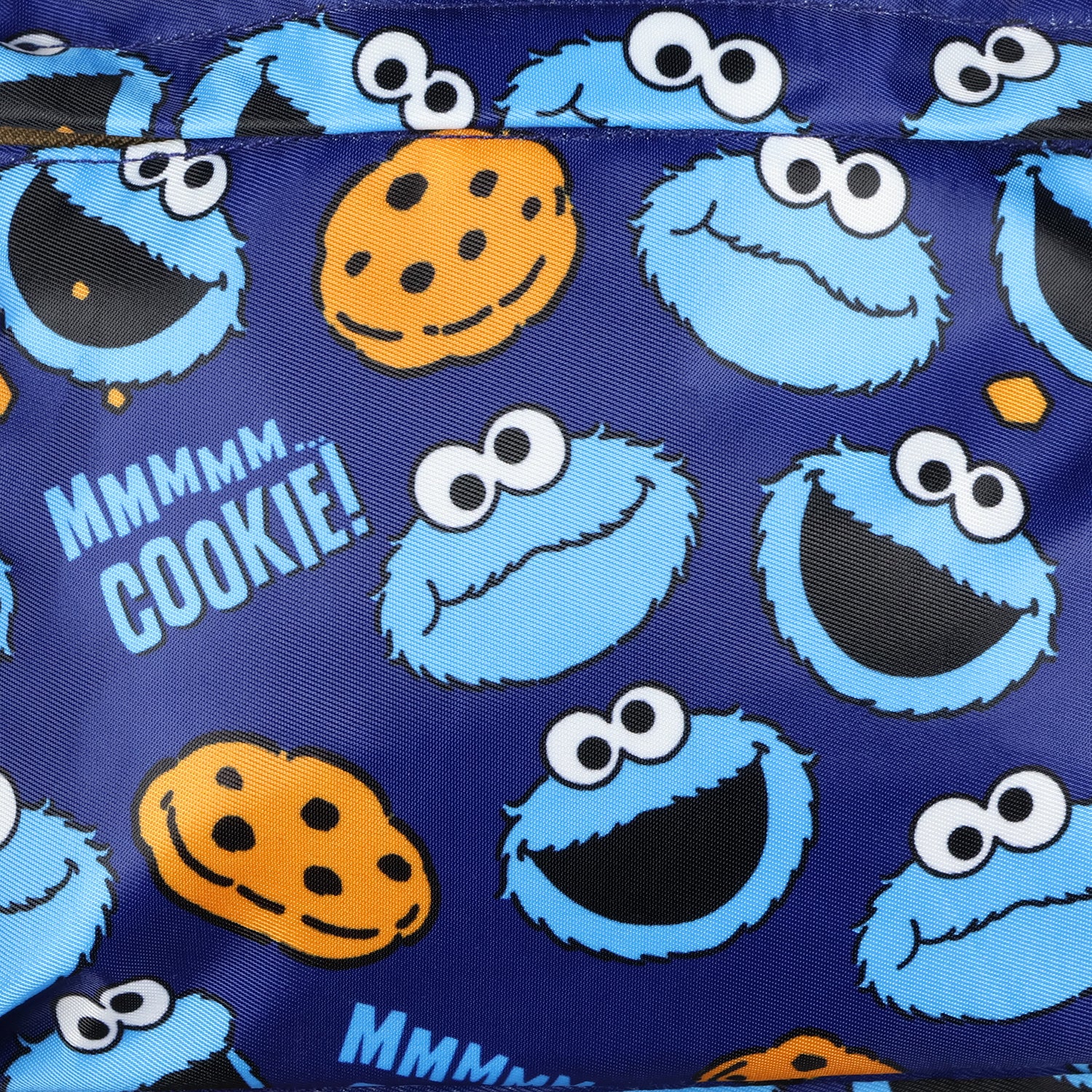 Sesame Street Cookie Monster Backpack Kids School Laptop Travel Bookbag