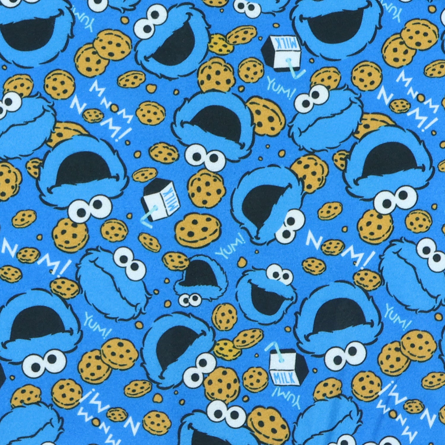 Sesame Street Cookie Monster Pajamas Toddler Zip Front Footless Sleeper