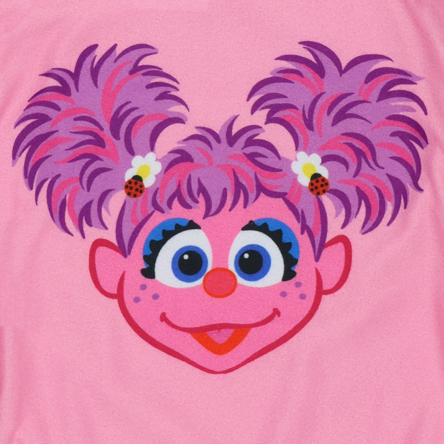Sesame Street Abby Cadabby Pajamas Long Sleeve Pant Loungewear Sleep Set