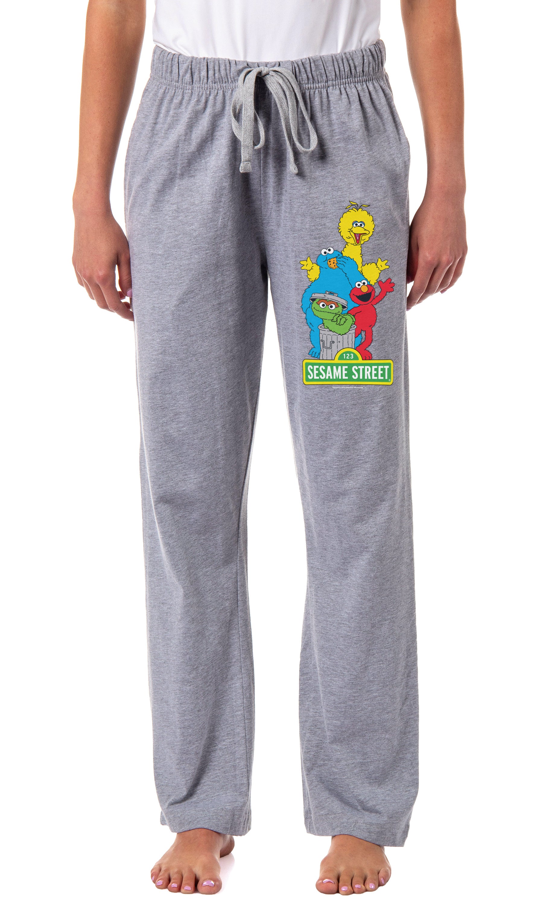 Sesame Street Women's Elmo And Friends Cookie Monster Oscar Big Bird Sleep Pajama Pants