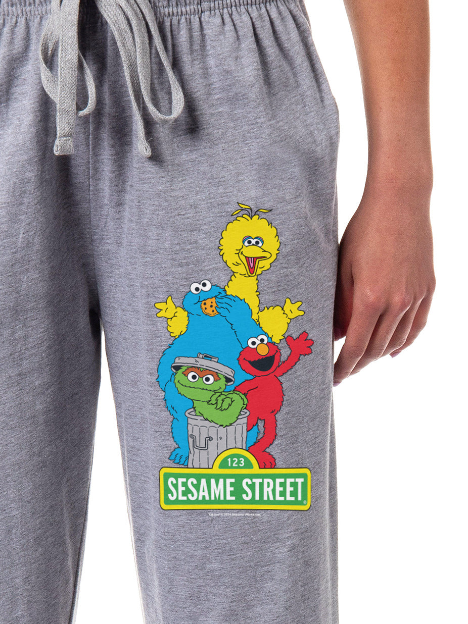Sesame Street Women's Elmo And Friends Cookie Monster Oscar Big Bird Sleep Pajama Pants