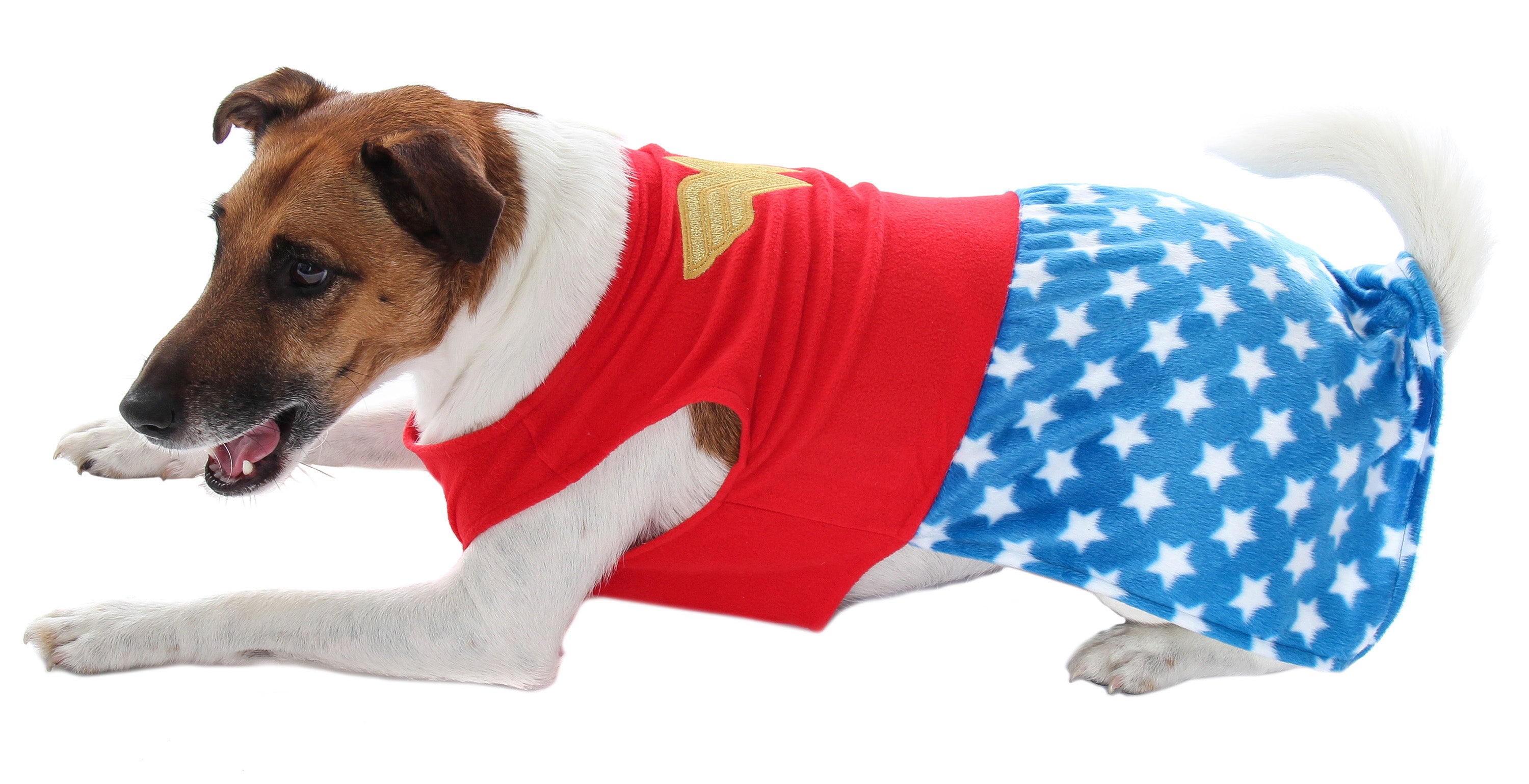 DC Comics Wonder Woman Superhero Halloween Pet Costume For Dogs Or Cats (Small)
