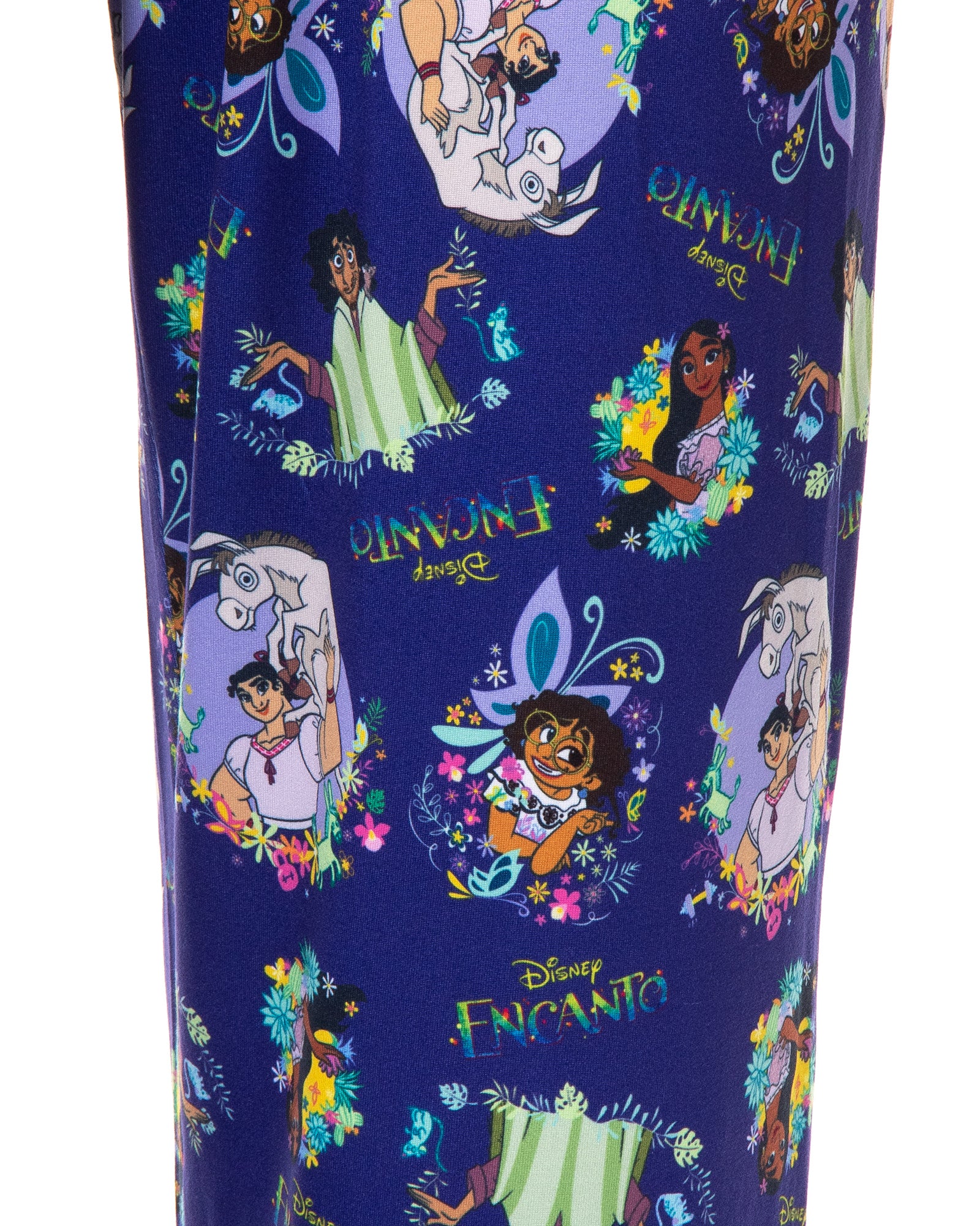 Disney Womens' Encanto Movie Film The Family Madrigal Characters Pajama Pants