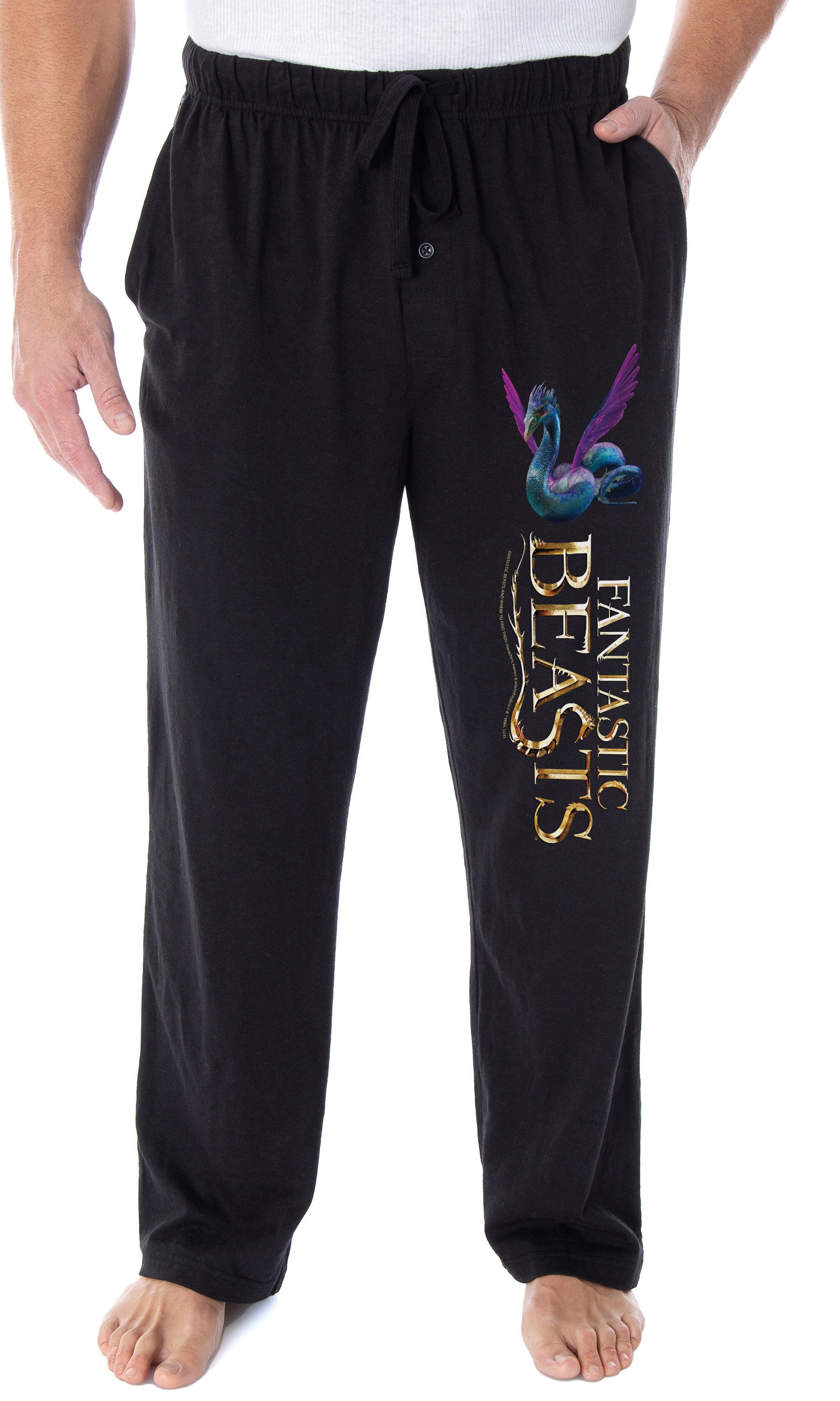 Fantastic Beasts And Where To Find Them Men's Occamy Harry Potter Pajama Pants