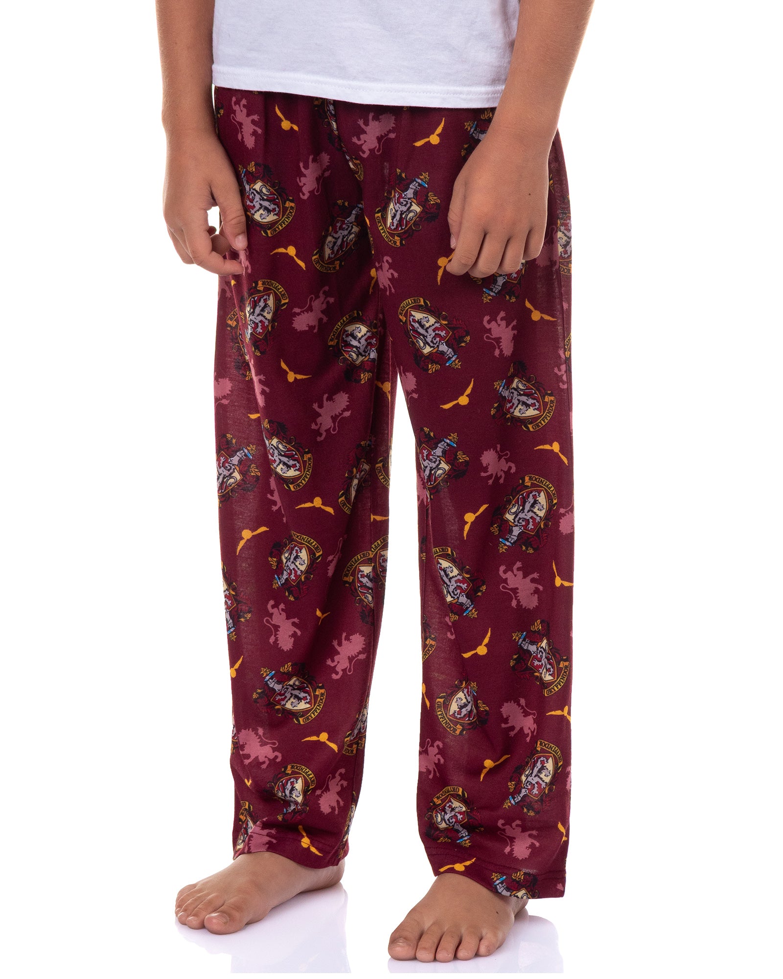 Harry Potter Pajamas Boy's House Crest Icons Lounge Pj Pants