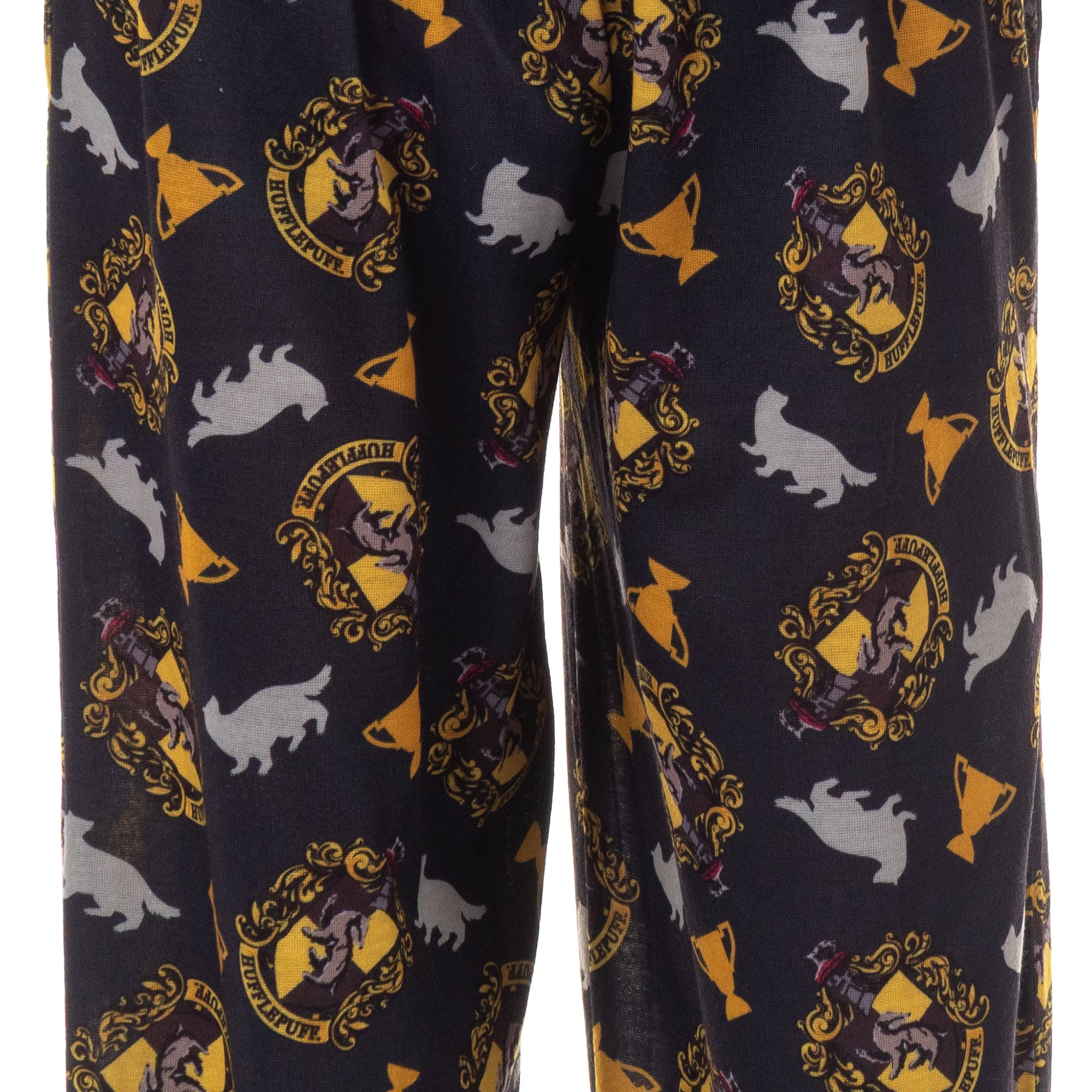 Harry Potter Pajamas Boy's House Crest Icons Lounge Pj Pants
