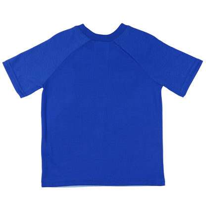 PJ Masks Pajamas Toddler Boys' Short Sleeve and Shorts Sleep Set (Catboy, 3T)