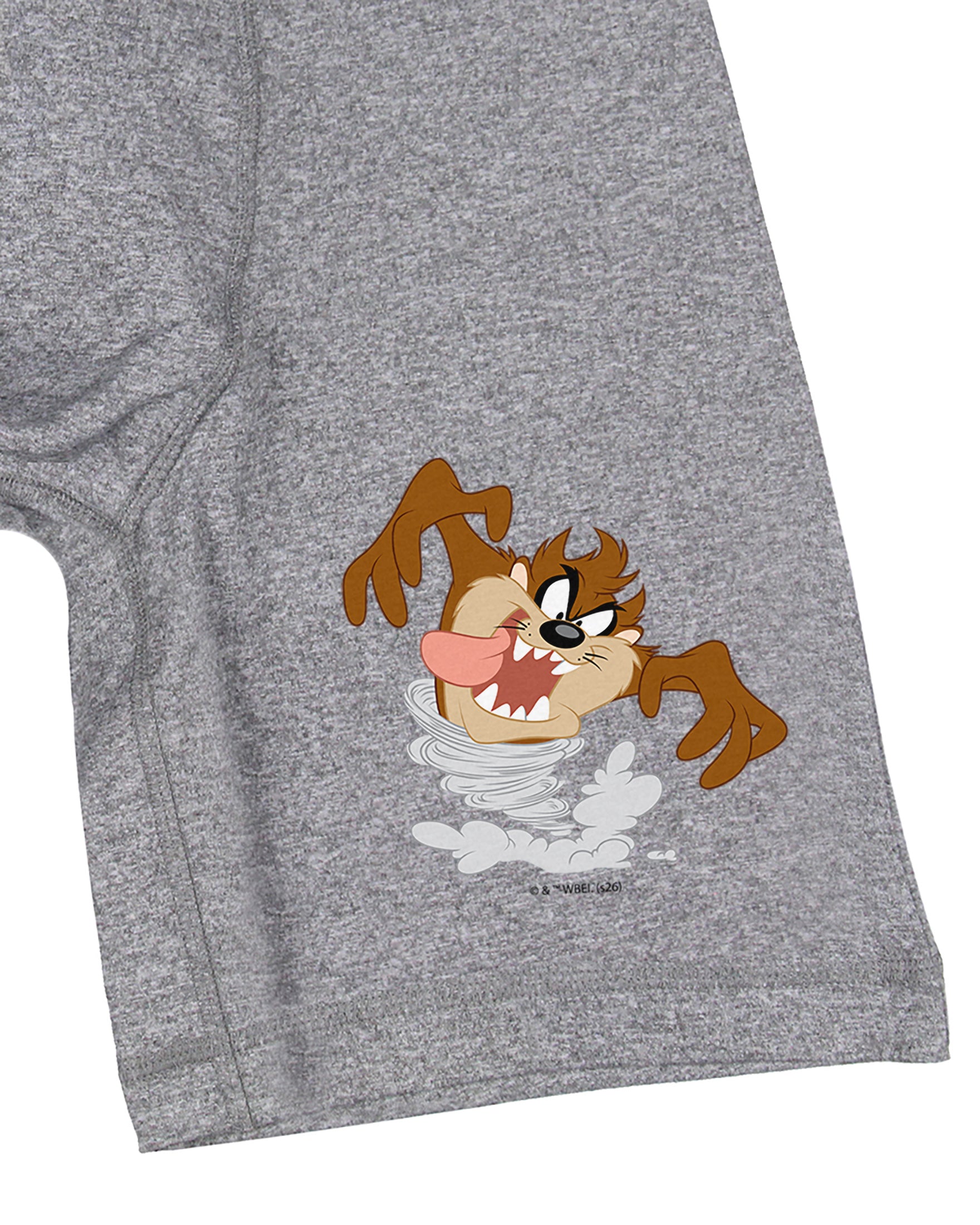 Looney Tunes Men's Taz Devil Design Long Leg Boxers Underwear