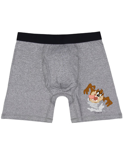 Looney Tunes Men's Taz Devil Design Boxer Briefs Underwear