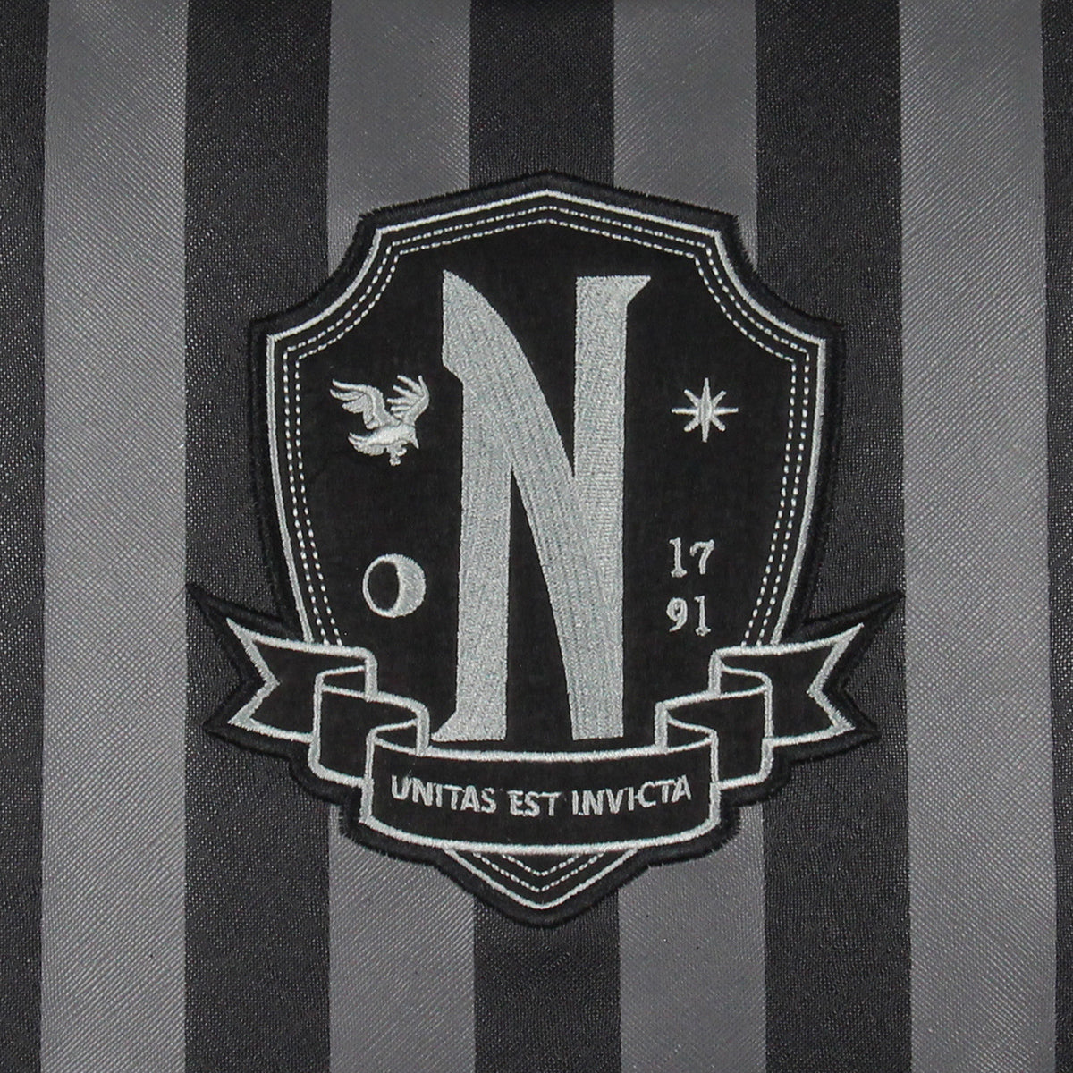 Wednesday Addams TV Show Striped Nevermore Academy Insulated Lunch Box Bag Tote
