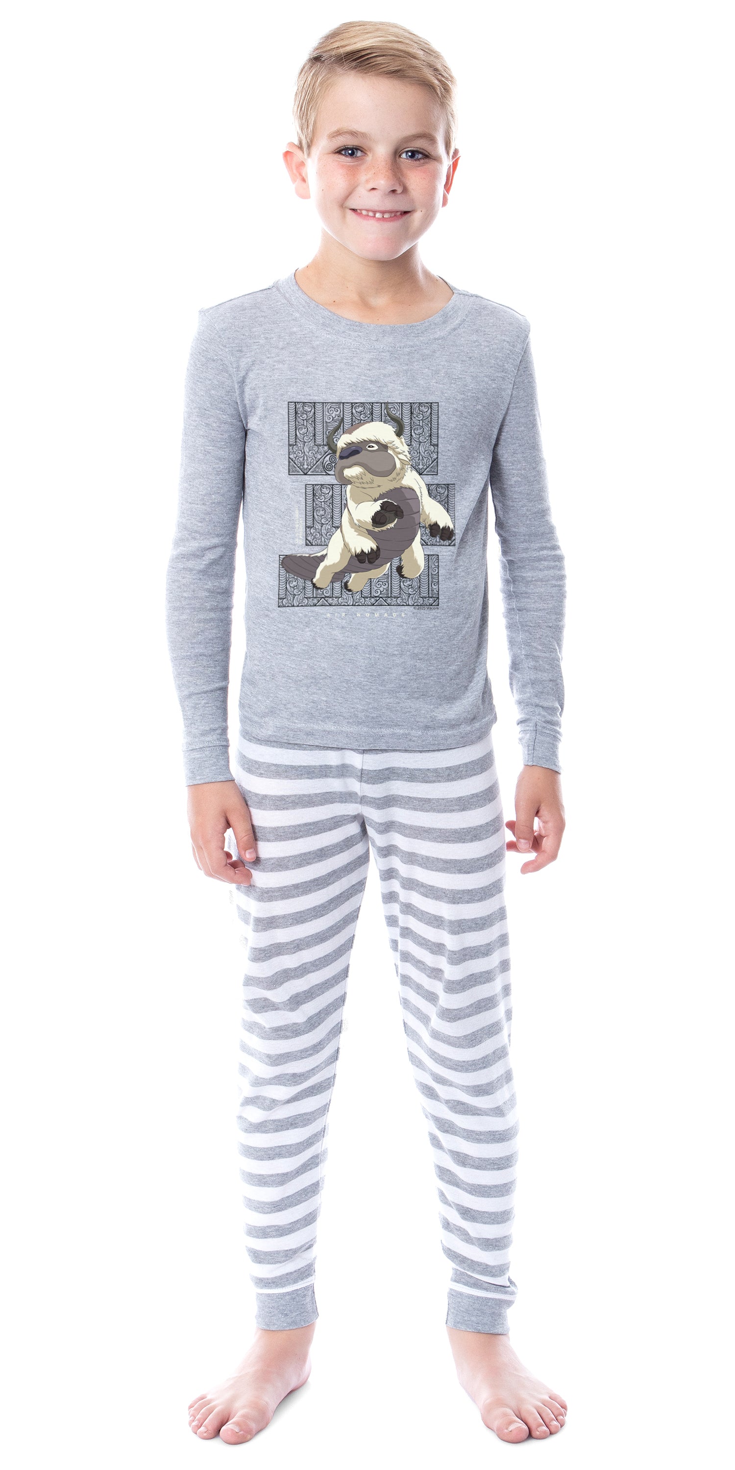 Avatar: The Last Airbender Child's Appa 2 Piece Long Sleeve Pajama Set