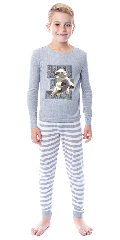 Avatar: The Last Airbender Child's Appa 2 Piece Long Sleeve Pajama Set