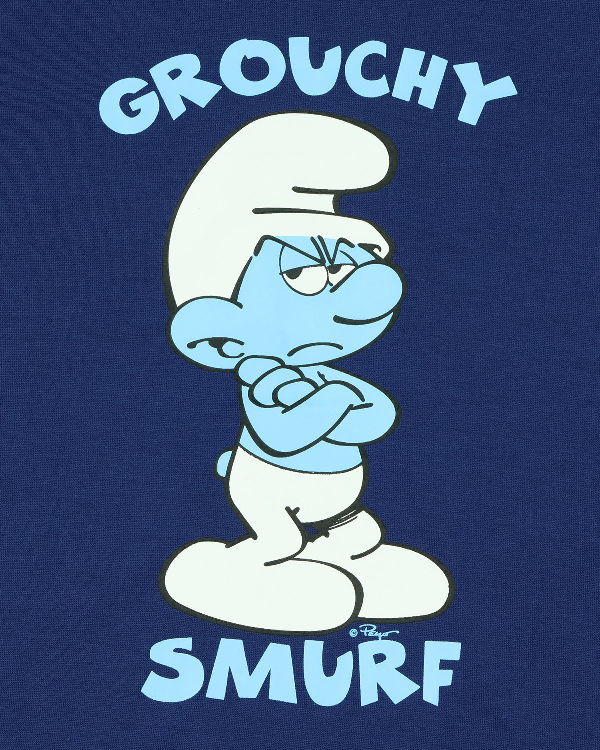 The Smurfs Pajamas Boys' Grouchy Smurf Short Sleeves and Shorts Set