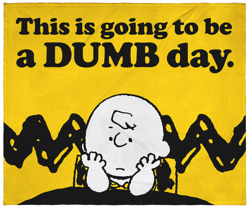 Peanuts Charlie Brown This Is Going To Be A Dumb Day Throw Blanket Wall Scroll