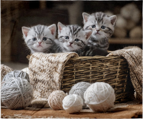Kitten Love Cute Kitty Cat Blanket Super Soft Silk Touch Plush Fleece Throw 50" X 60"