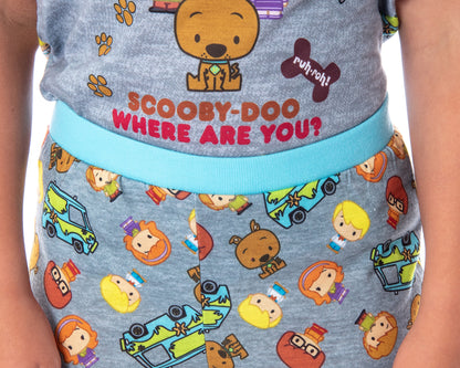Scooby Doo Girls' Where Are You? Mini Character 2 PC Pajama Set (2XL,18/20)