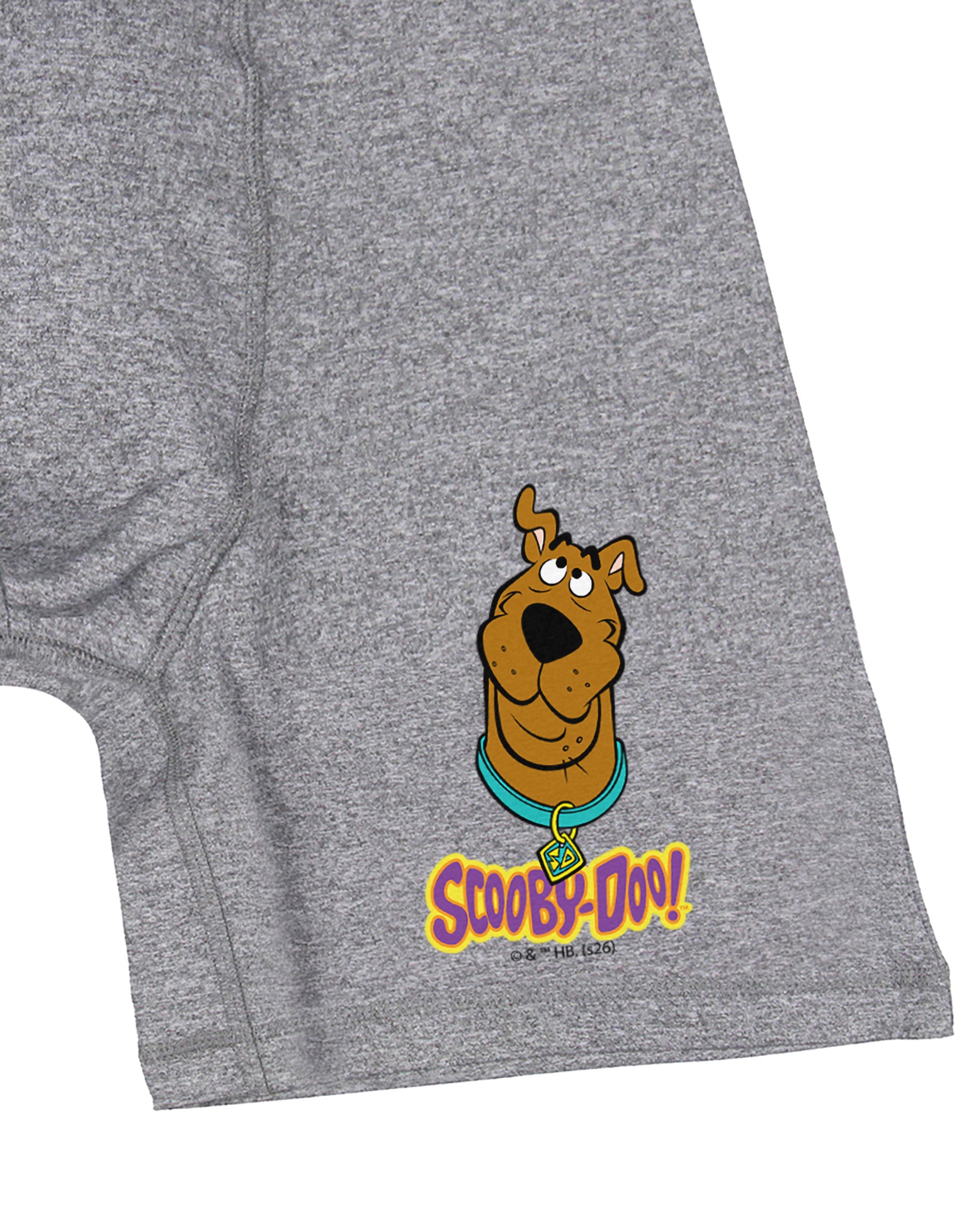 Scooby Doo Men's Logo Design Boxer Briefs Underwear