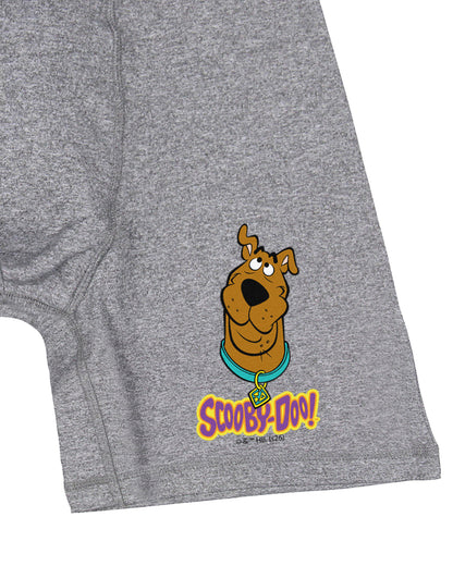 Scooby Doo Men's Logo Design Boxer Briefs Underwear