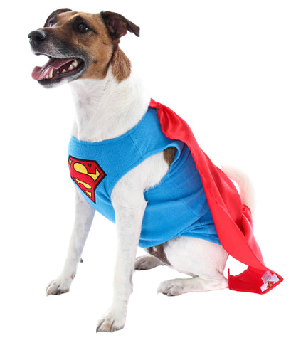 DC Comics Superman Superhero Halloween Pet Costume For Dogs Or Cats (Large)