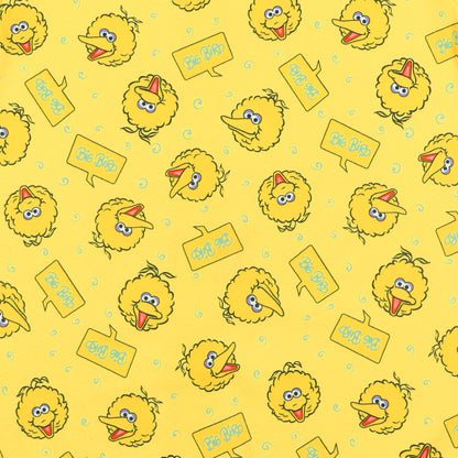 Sesame Street Big Bird Pajamas Toddler Fleece Footless Sleeper One Piece PJ