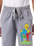 Sesame Street Women's Elmo And Friends Cookie Monster Oscar Big Bird Sleep Pajama Pants